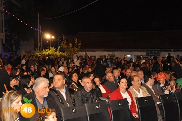 tree light 1208 (35).JPG